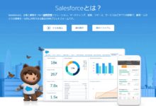 Salesforce CRM cost